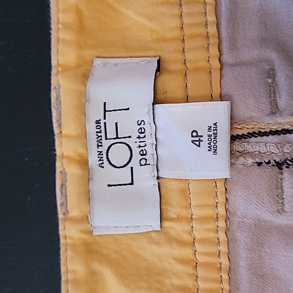 Ann Taylor LOFT petites Skirt Size 4P - Picture 3 of 5